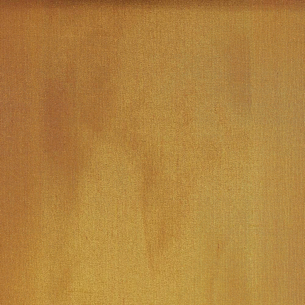 Dupioni Solids - Kanchi - Scalamandre Fabric