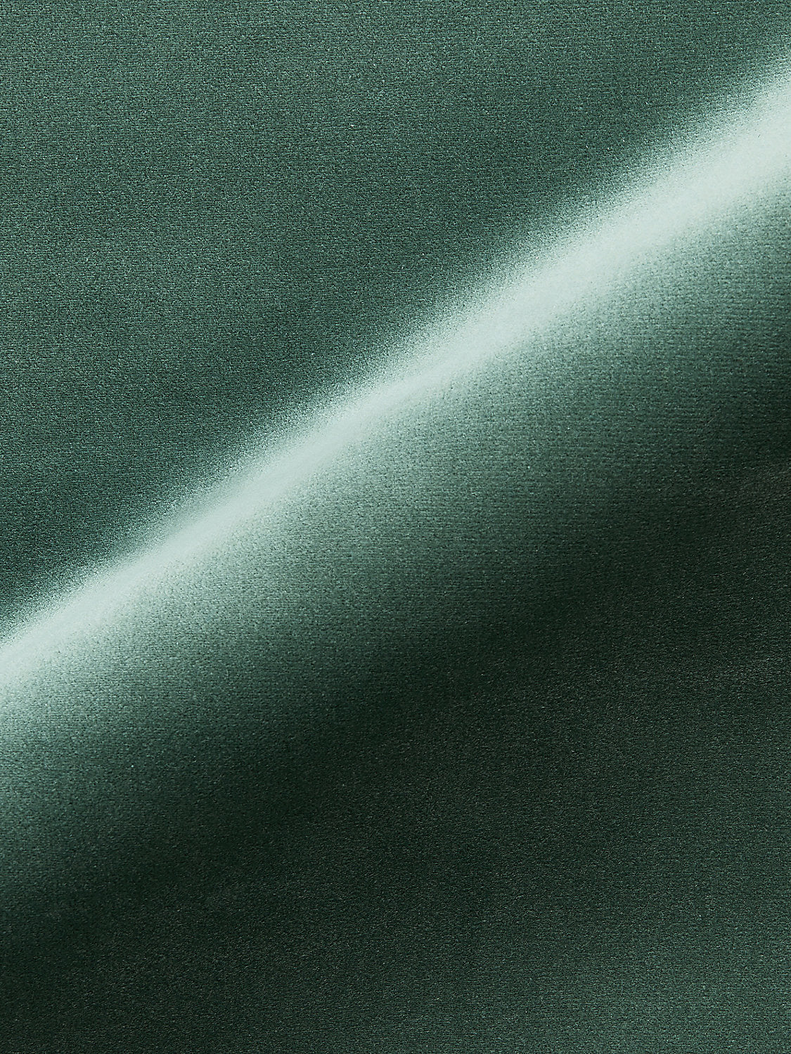 Torino Velvet - Spruce - Scalamandre Fabric