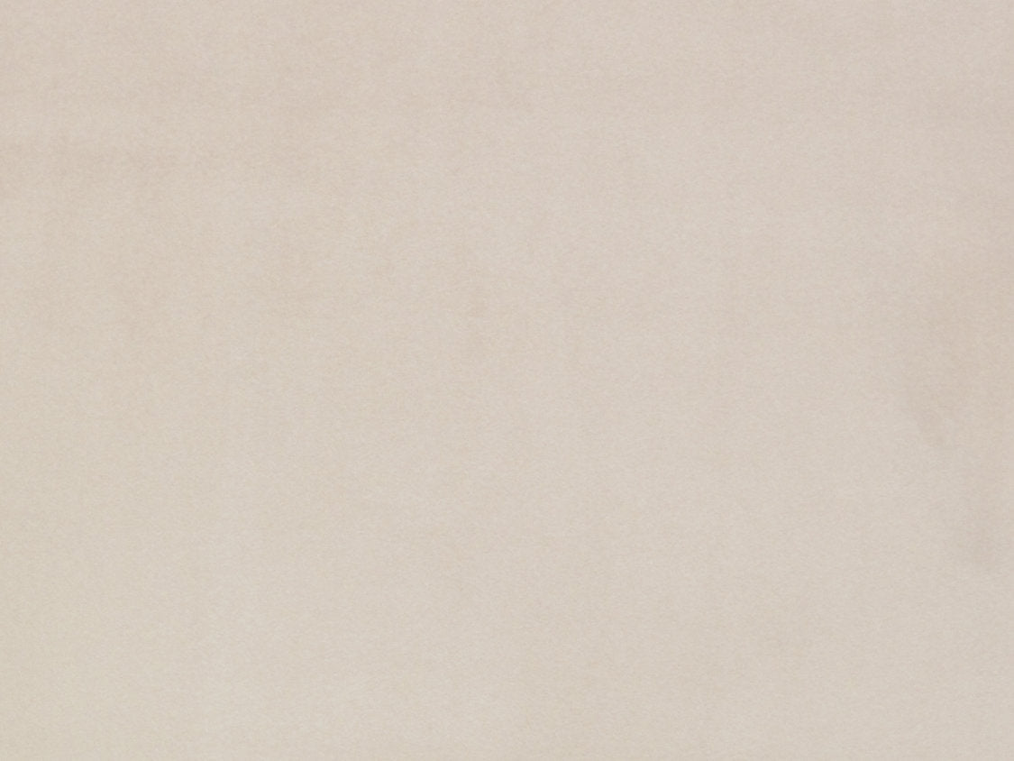 Bellamy - Buckwheat - Scalamandre Fabric