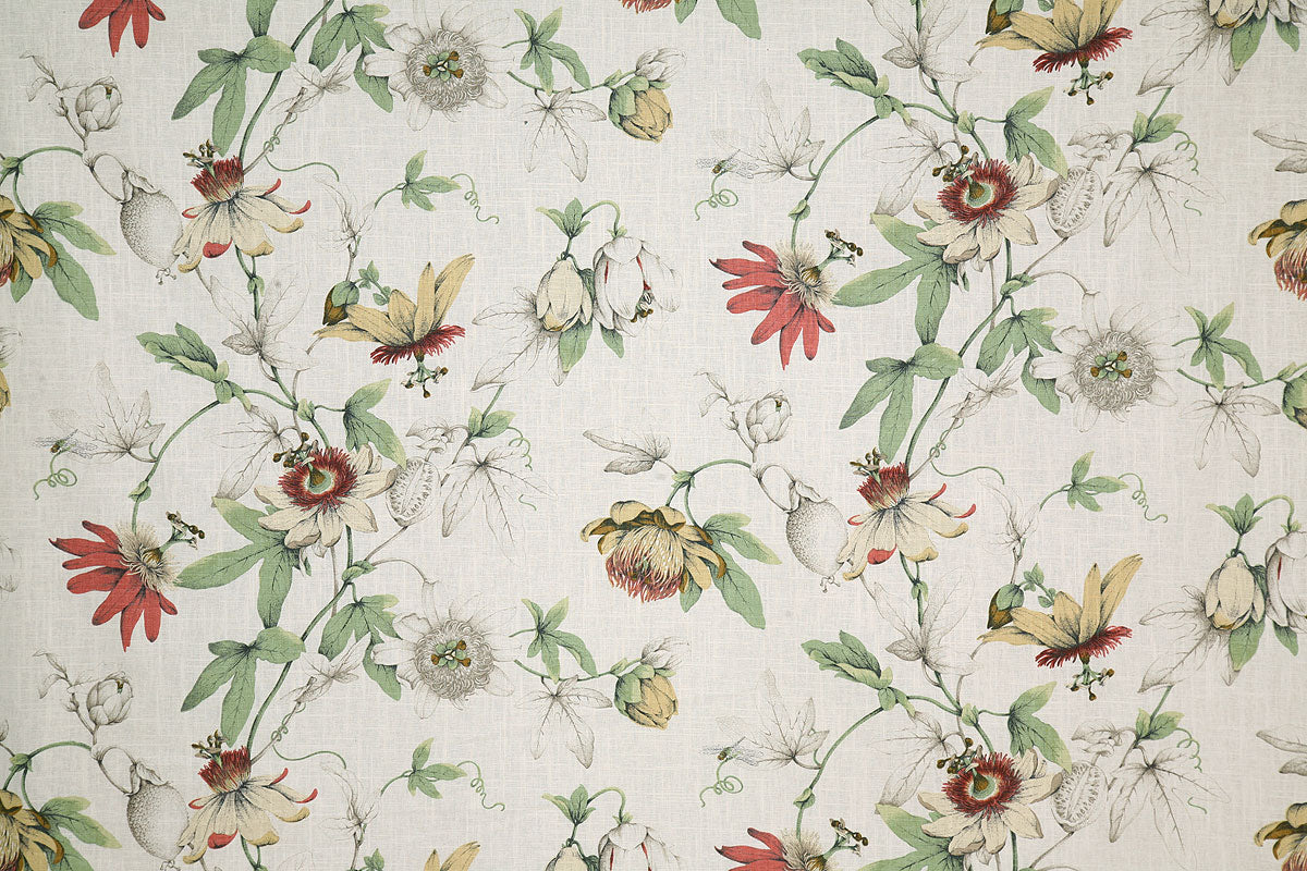 p6235-lynda-parchment-pindler