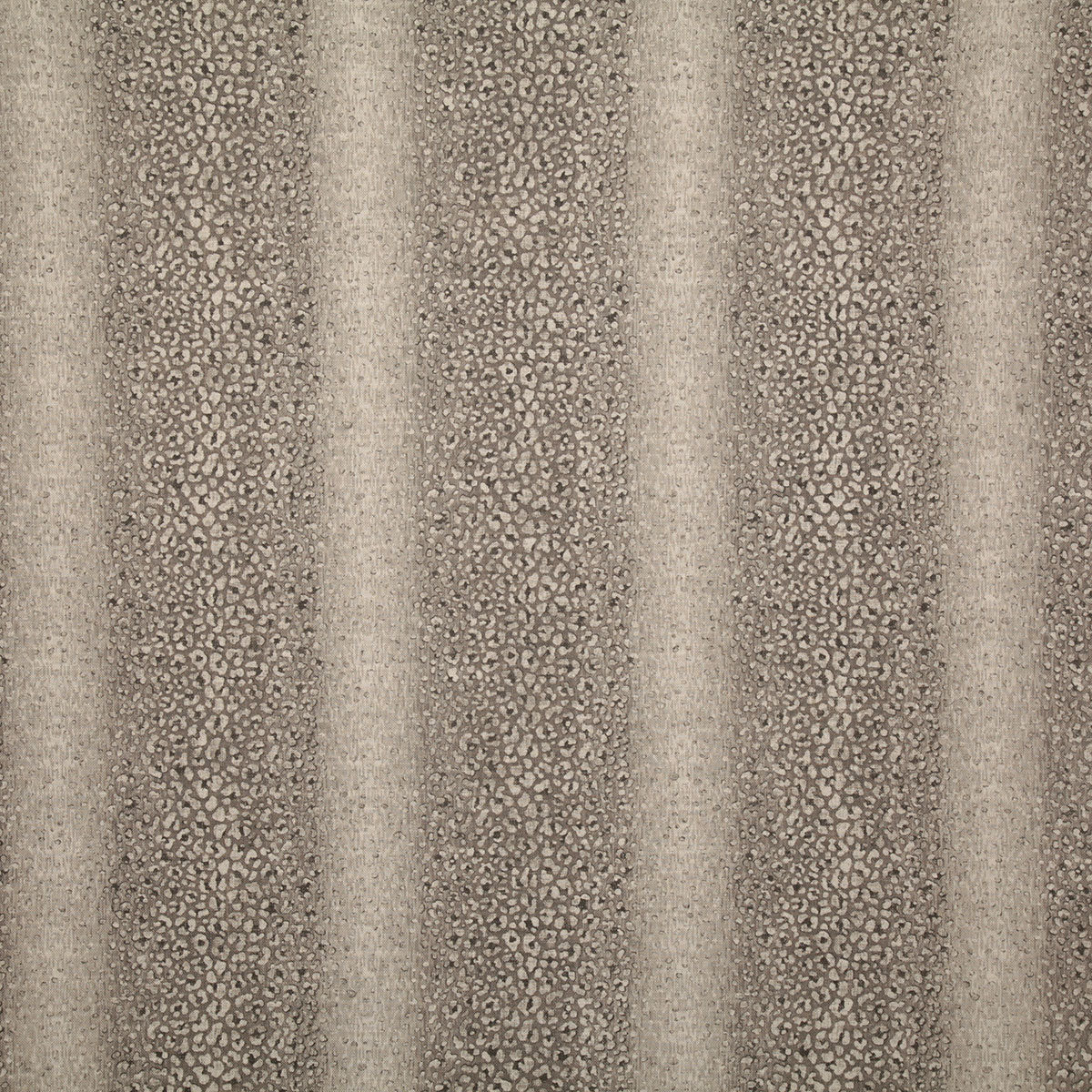 p6468-baloo-riverrock-pindler