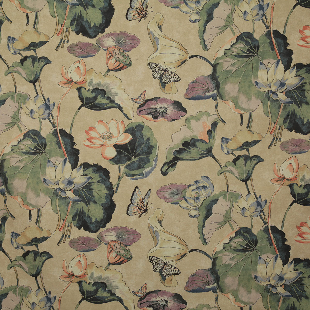 p6631-waterlily-flax-pindler