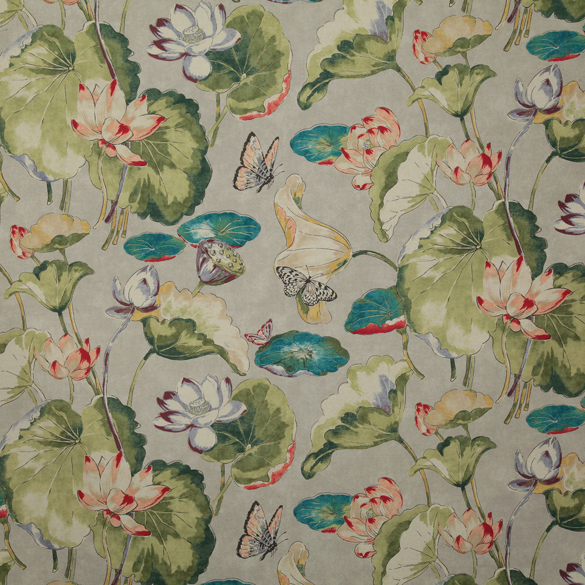 p6631-waterlily-spring-pindler