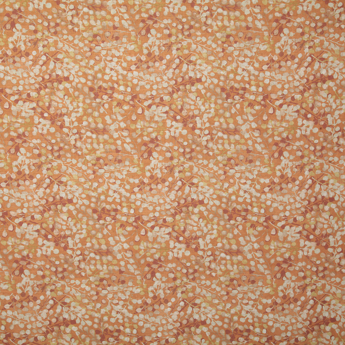 p6657-twiggy-spice-pindler
