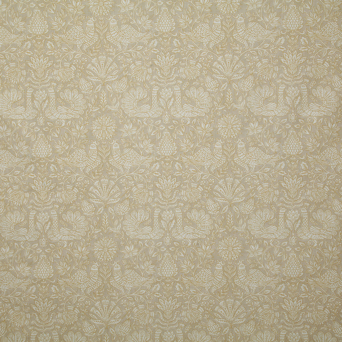 p6674-ganado-soleil-pindler
