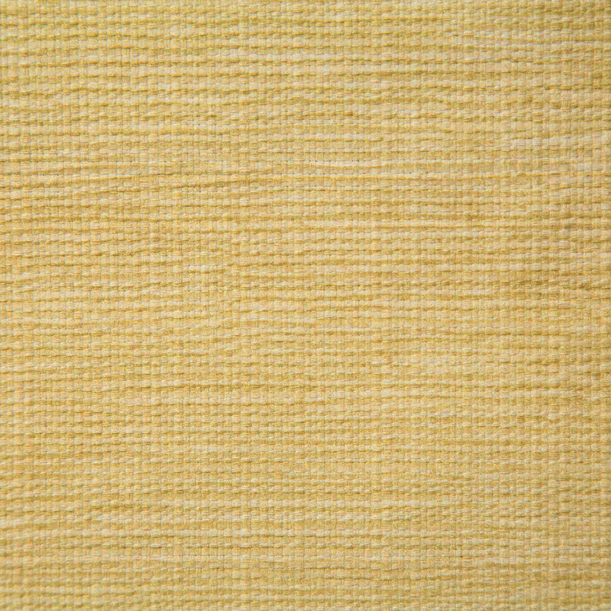 p6762-matthews-buttercup-pindler
