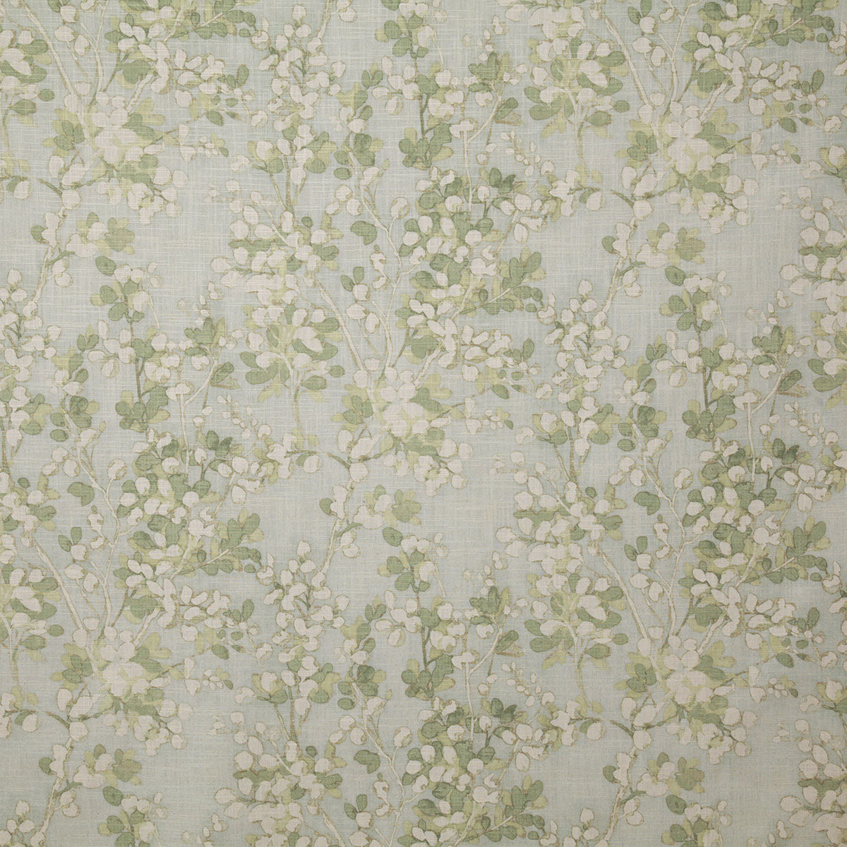 p6798-nemy-leaf-pindler