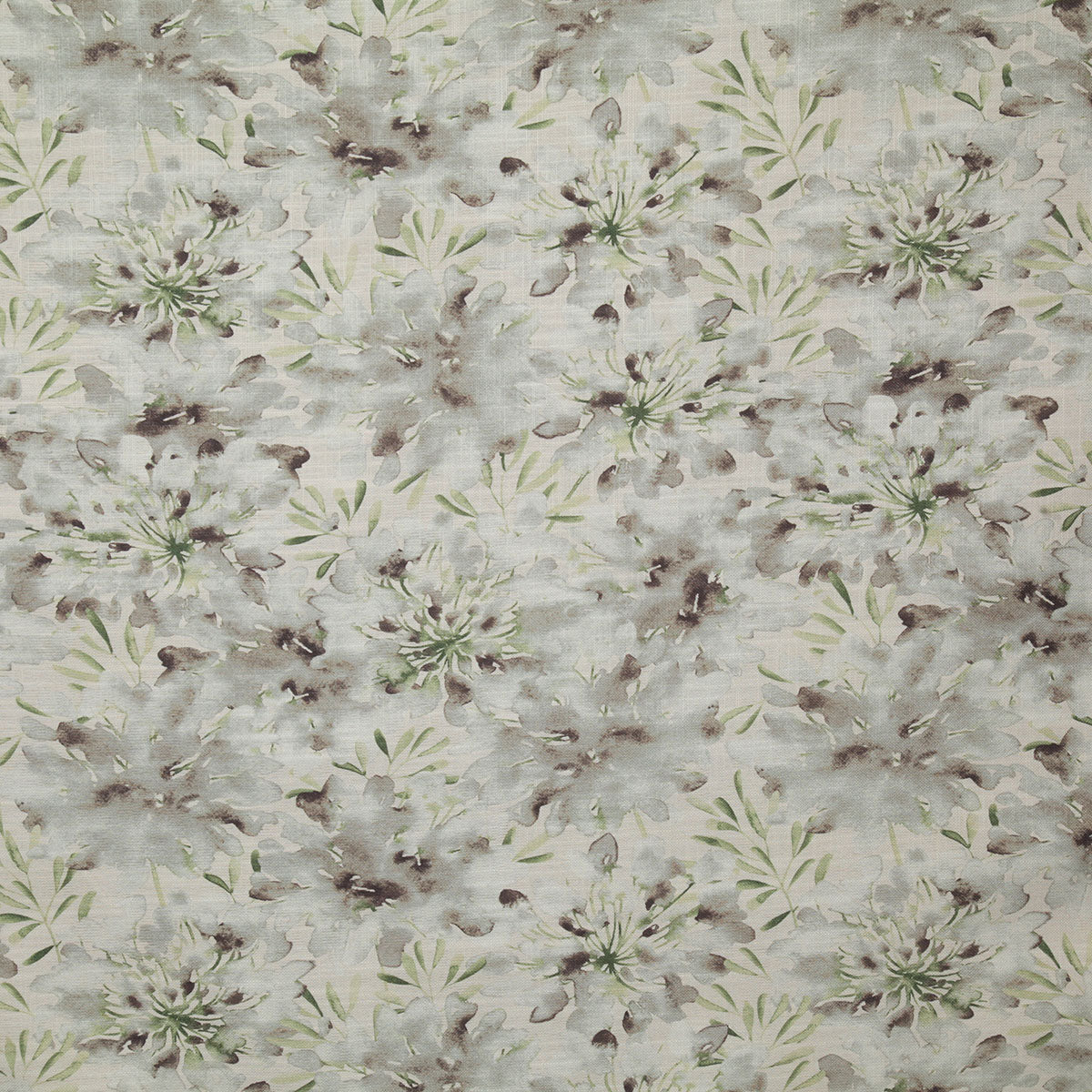 p6799-zola-haze-pindler