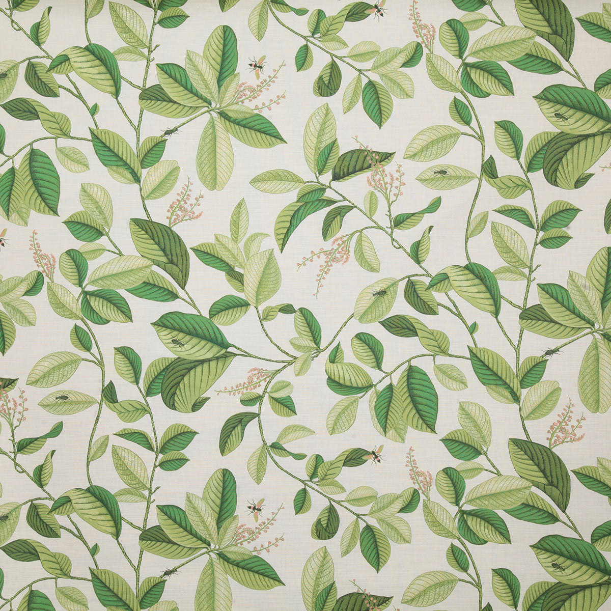 p6805-springdale-palm-pindler - Pindler Fabric