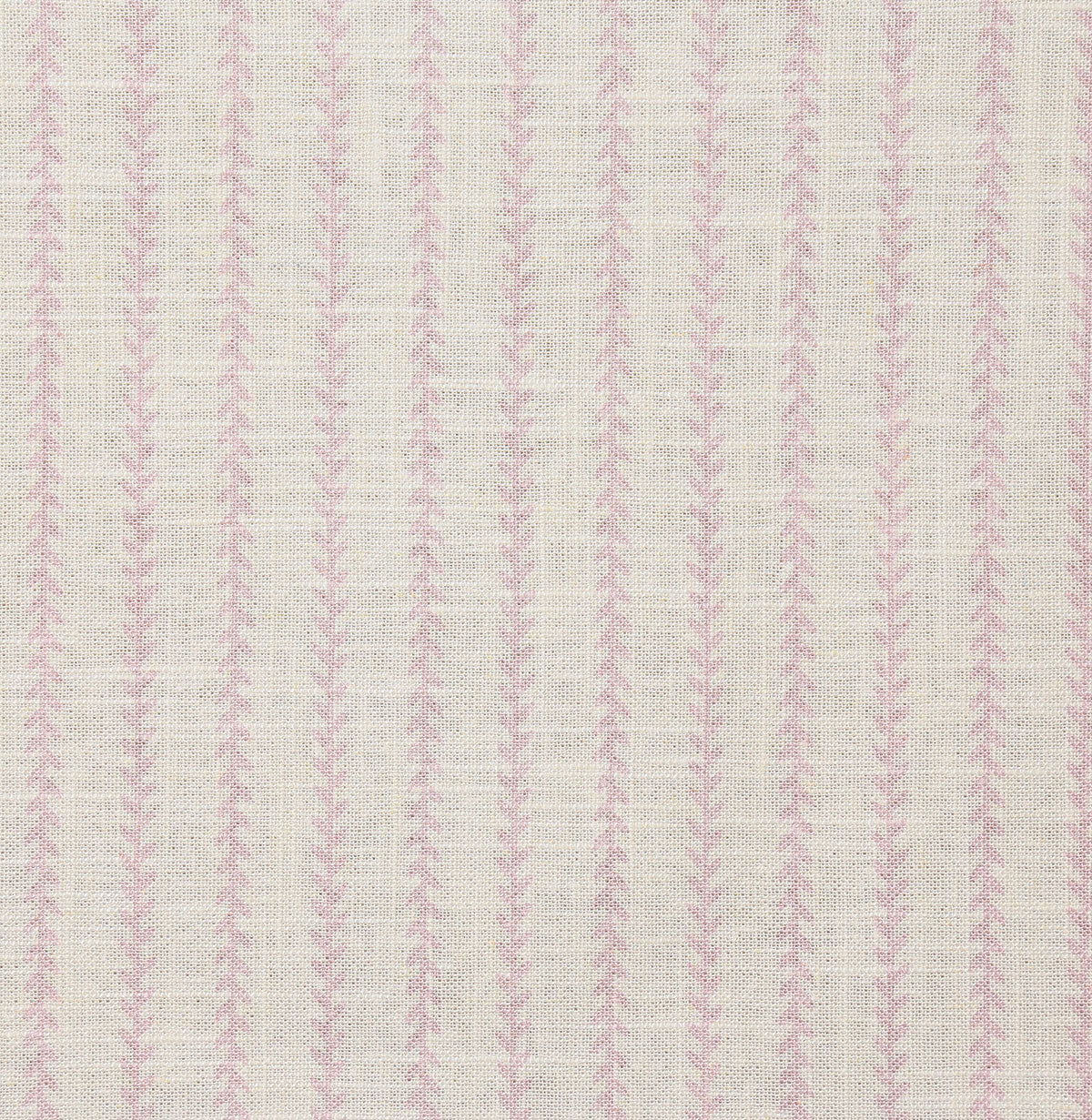 p6813-tilly-lavender-pindler