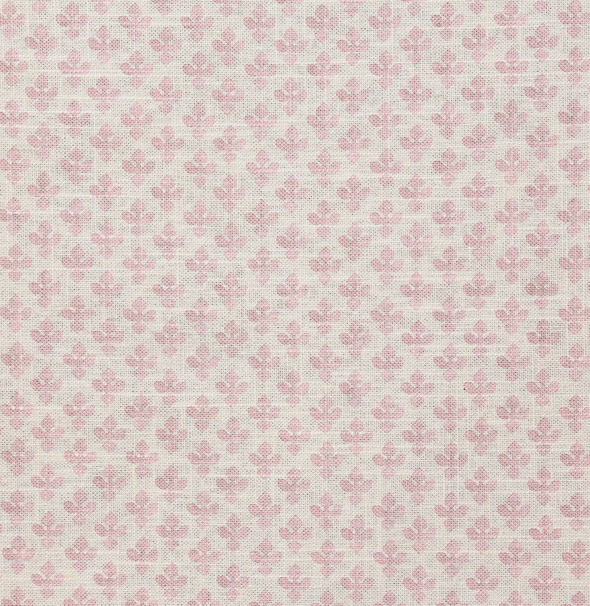 p6814-gemma-lavender-pindler