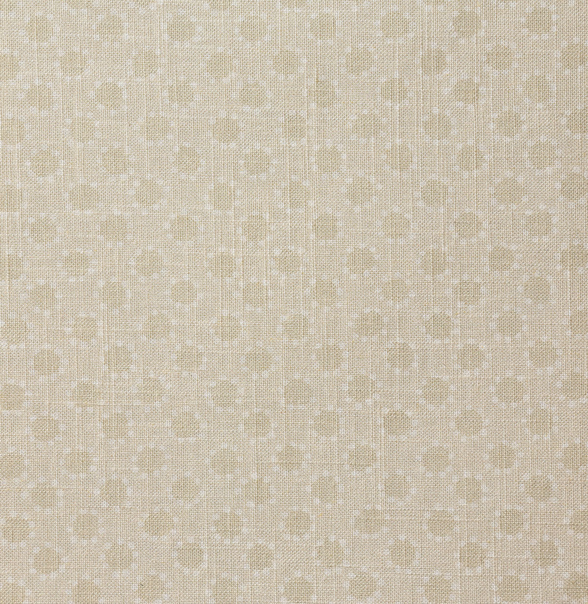 p6815-evienne-parchment-pindler