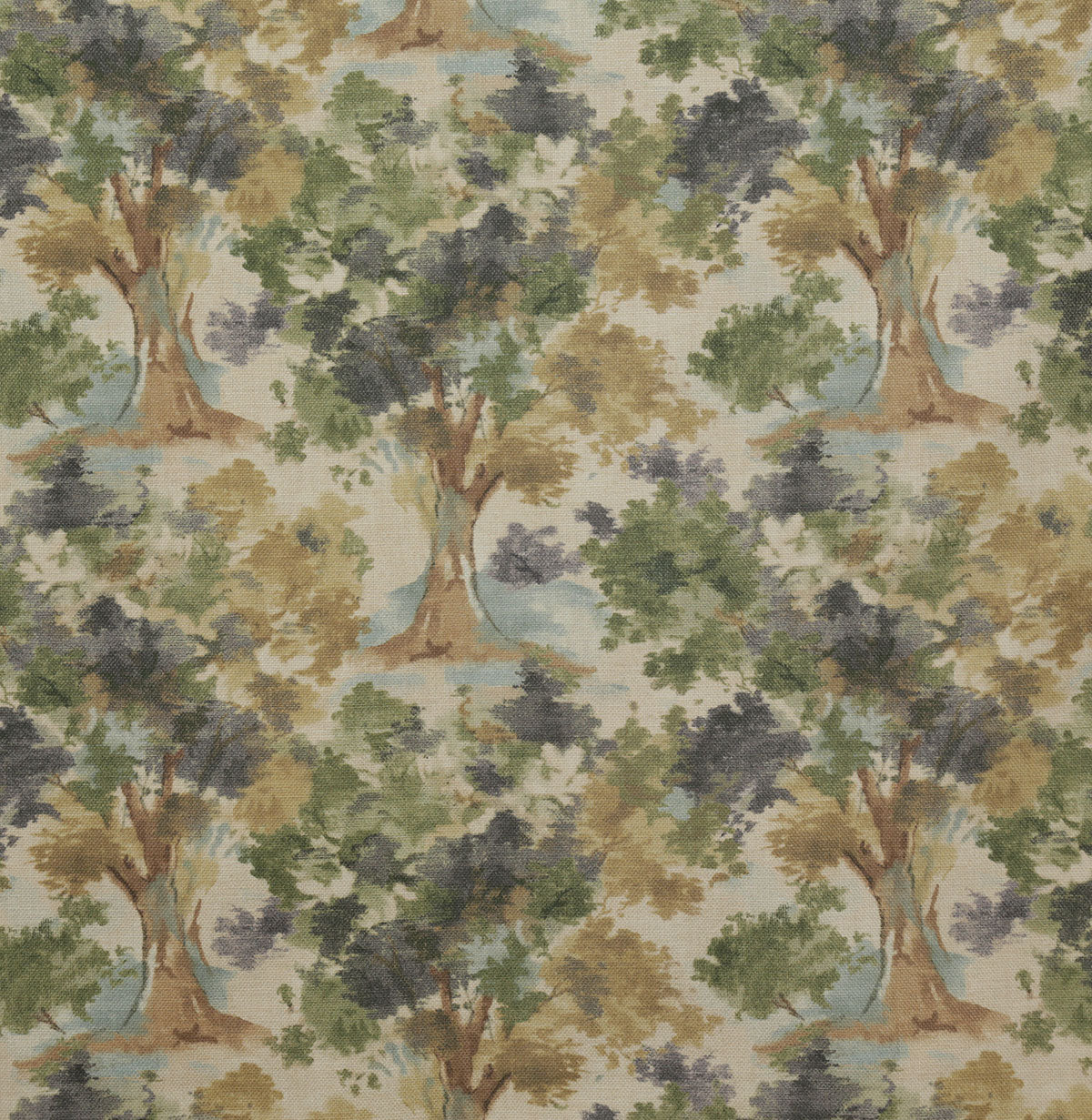 p6826-salazar-forest-pindler