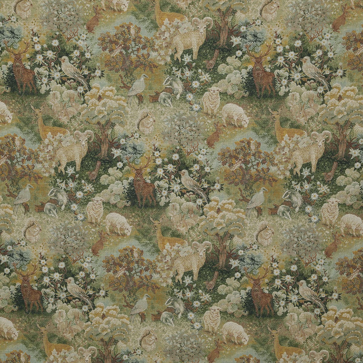 p6841-wren-clover-pindler