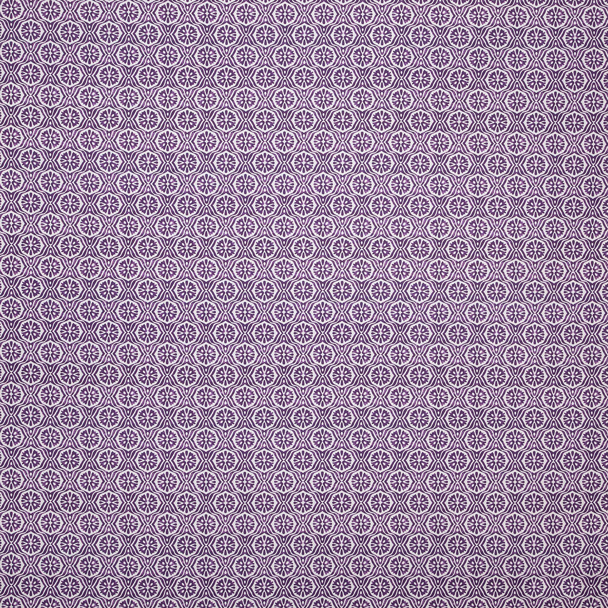 p6874-panama-orchid-pindler