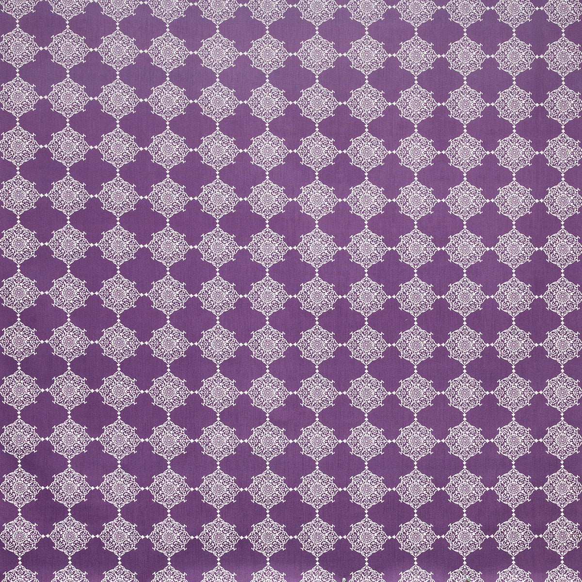 p6875-naples-orchid-pindler