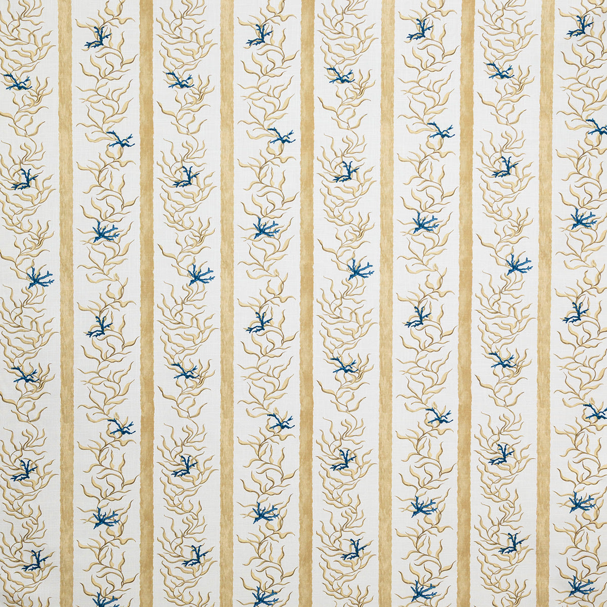 p6881-dory-beach-pindler