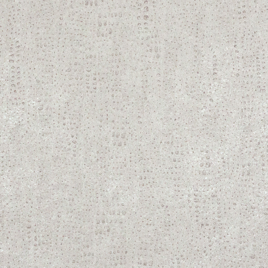 pointille-ptl-003-silver-cloud-innovations