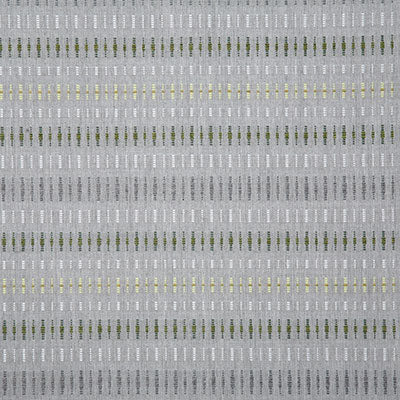 6842 RENEGADE -CITRON- Pindler Fabric