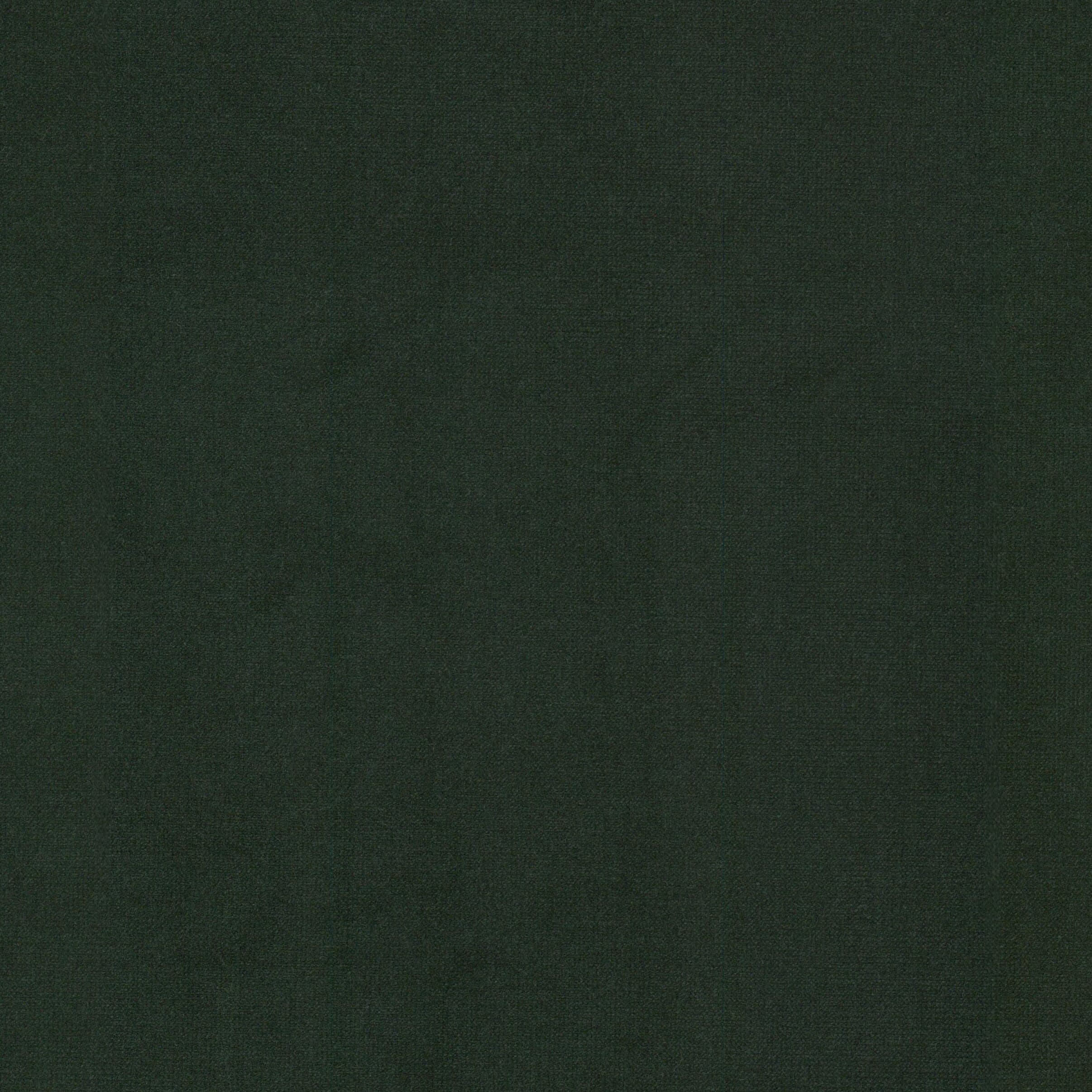 QUEEN-8-HUNTER-STOUT-TEXTILES - Stout Textiles Fabric