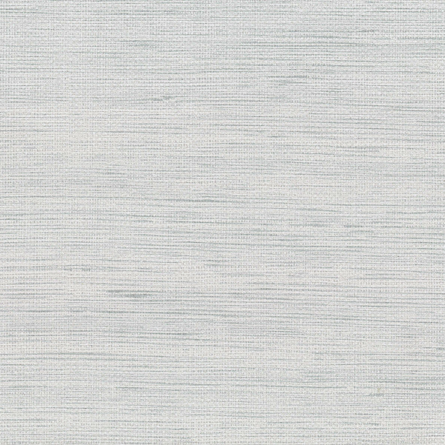 ramina-ram-007-silver-innovations