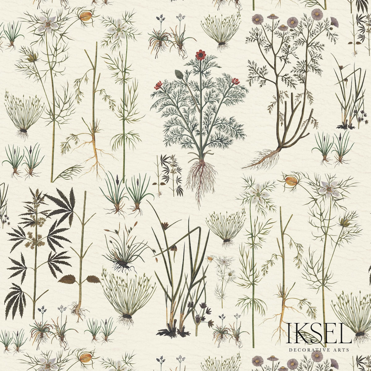 HERBIER-WHITE-SCHUMACHER-RF417CS70