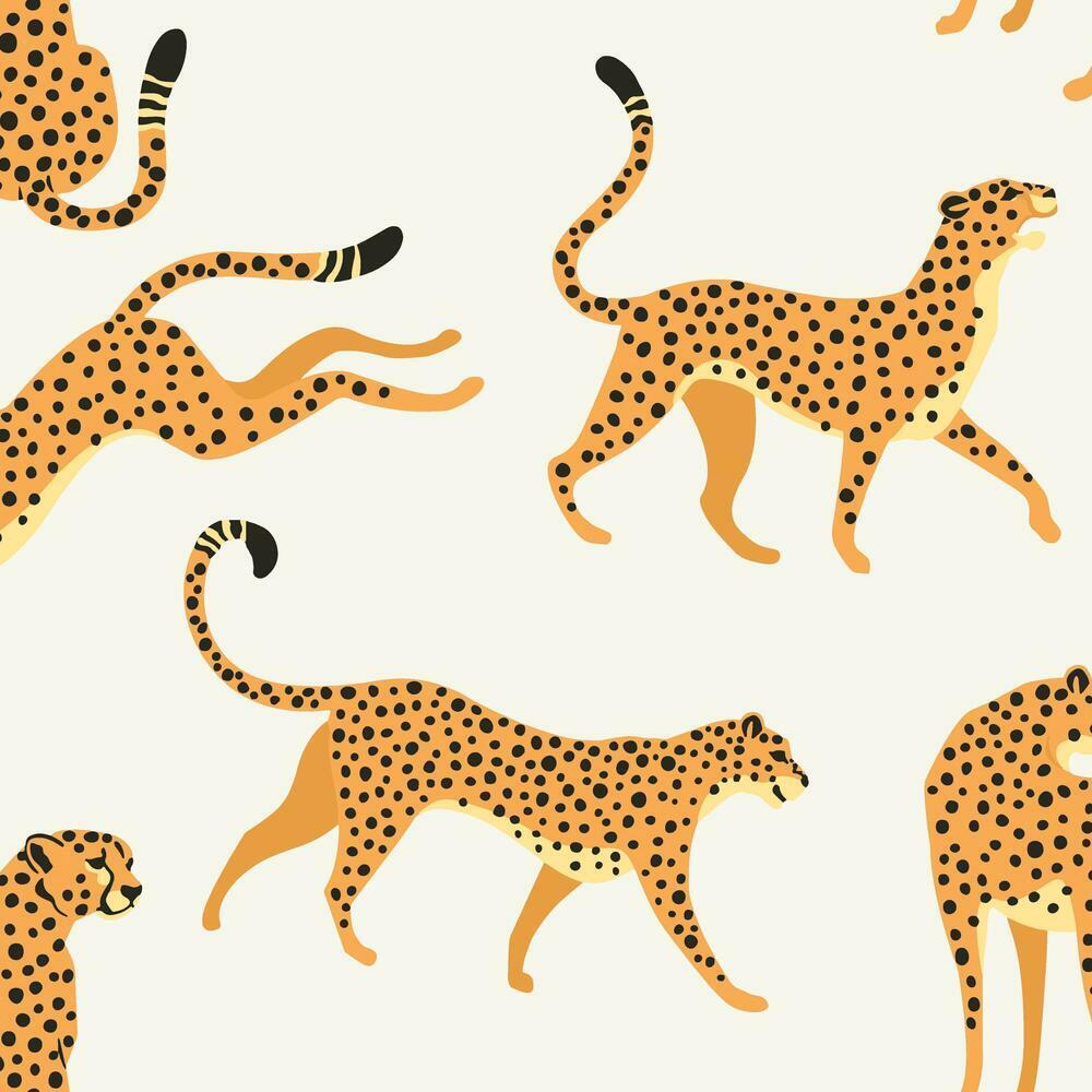Cheetah Cheetah Peel & Stick Wallpaper - White - York Wallcoverings - RMK11985RL