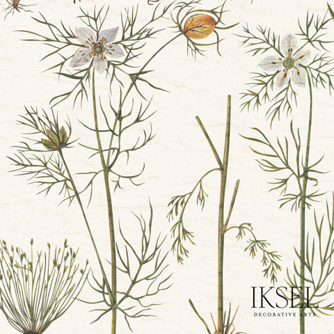 HERBIER-WHITE-SCHUMACHER-RW417CS70-255