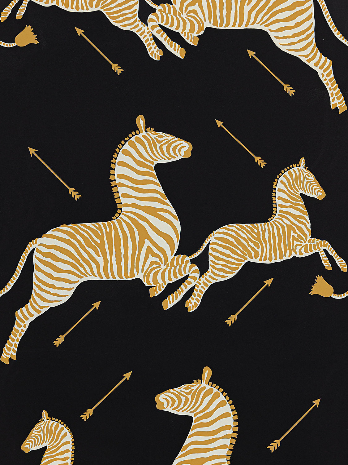 Zebras - Wallpaper - Trimmed - Black