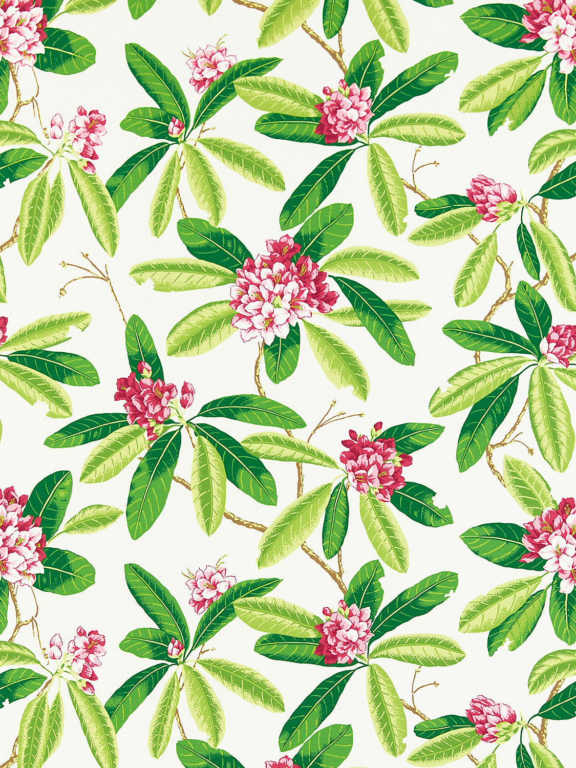 Rhododendron | Outdoor - Fuschia - Scalamandre Fabric