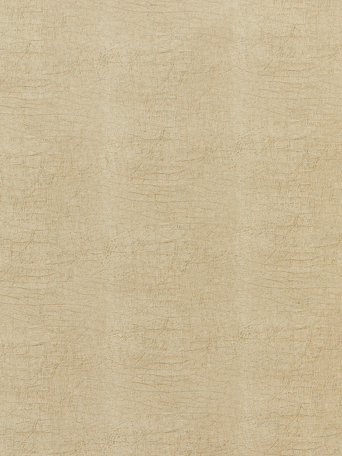 Cary - Flax - Scalamandre Fabric