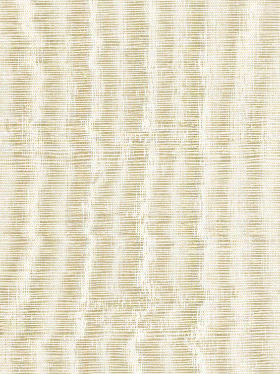 Fine Sisal - Ivory - Scalamandre Wallpaper