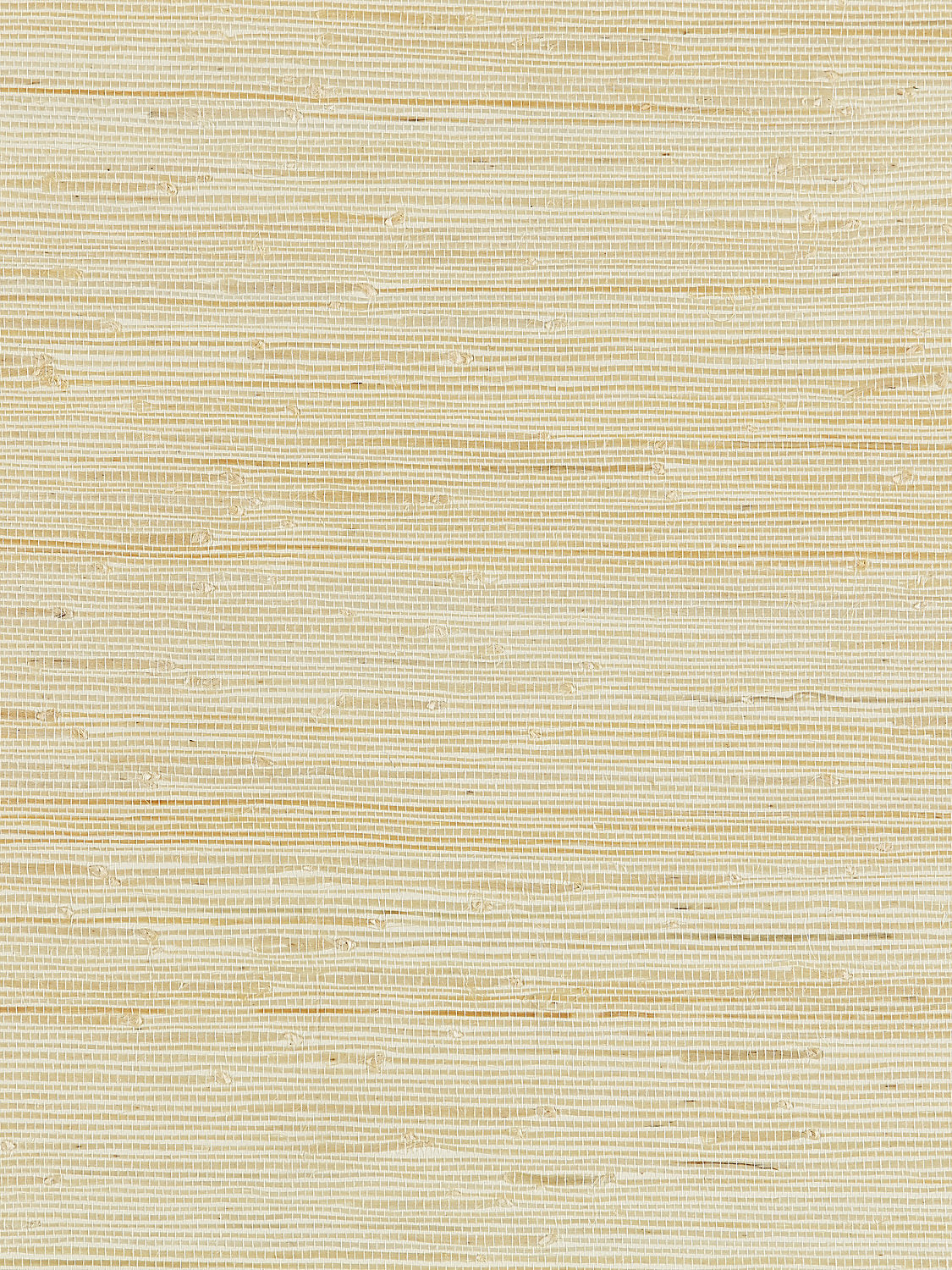 Textured Sisal - White Sand - Scalamandre Wallpaper