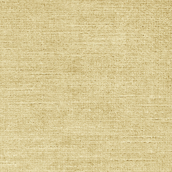 Persia - Beige - Scalamandre Fabric