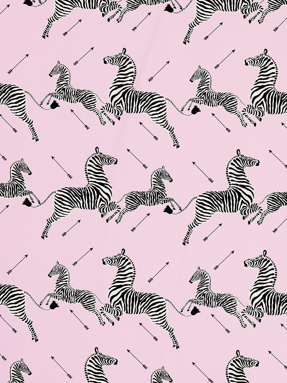 Zebras Petite - Peony - Scalamandre Fabric