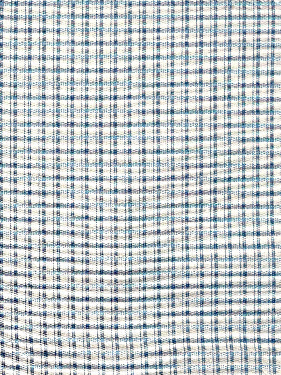 Astor Check - Indigo