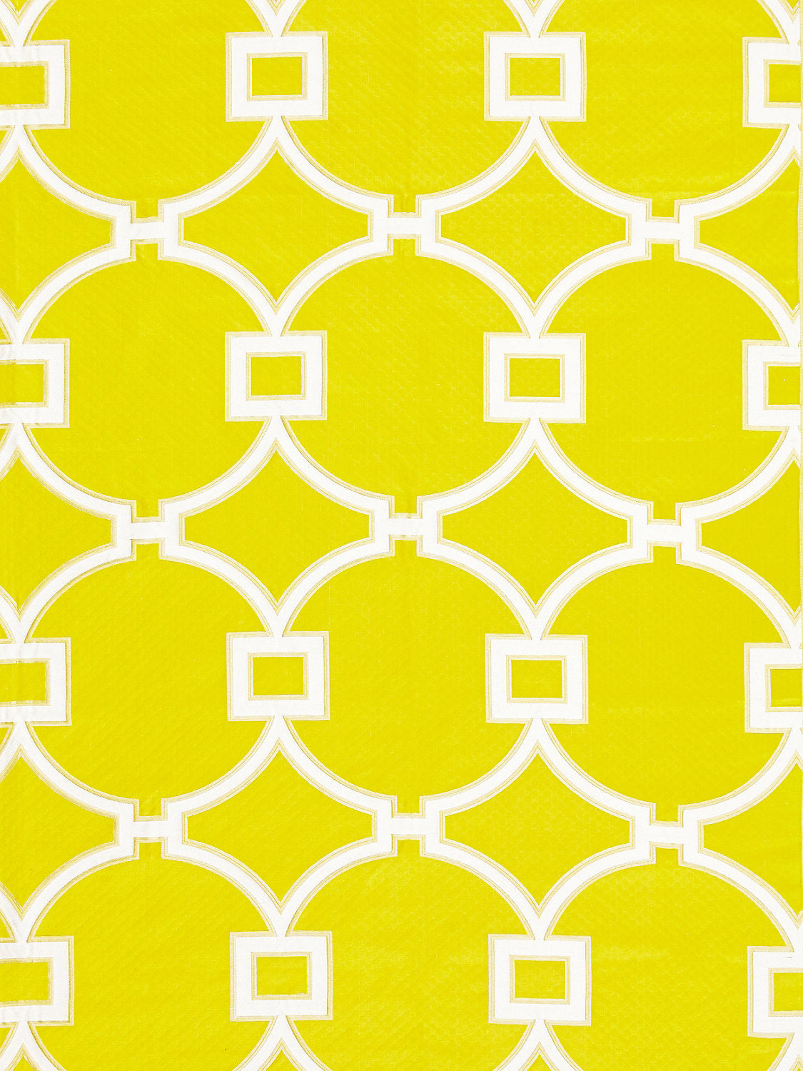 Circle Fret - Forsythia