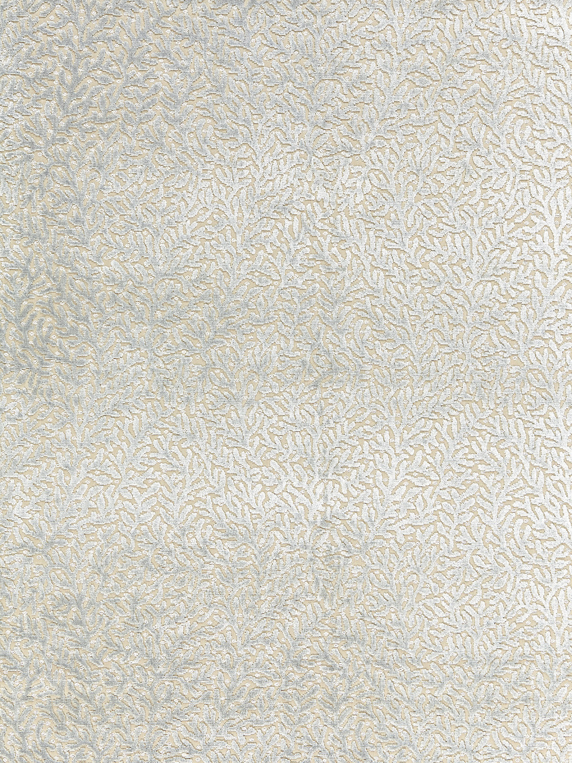 Corallina Velvet - Blue Mist - Scalamandre Fabric