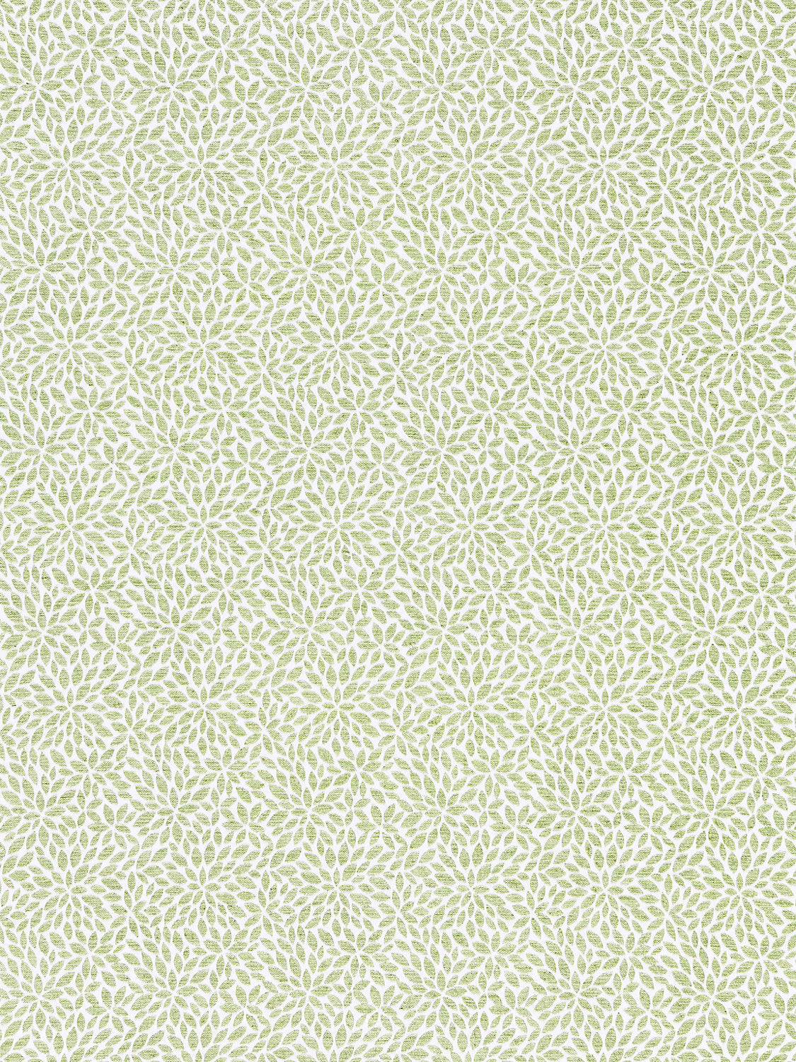 Risa Weave - Fern