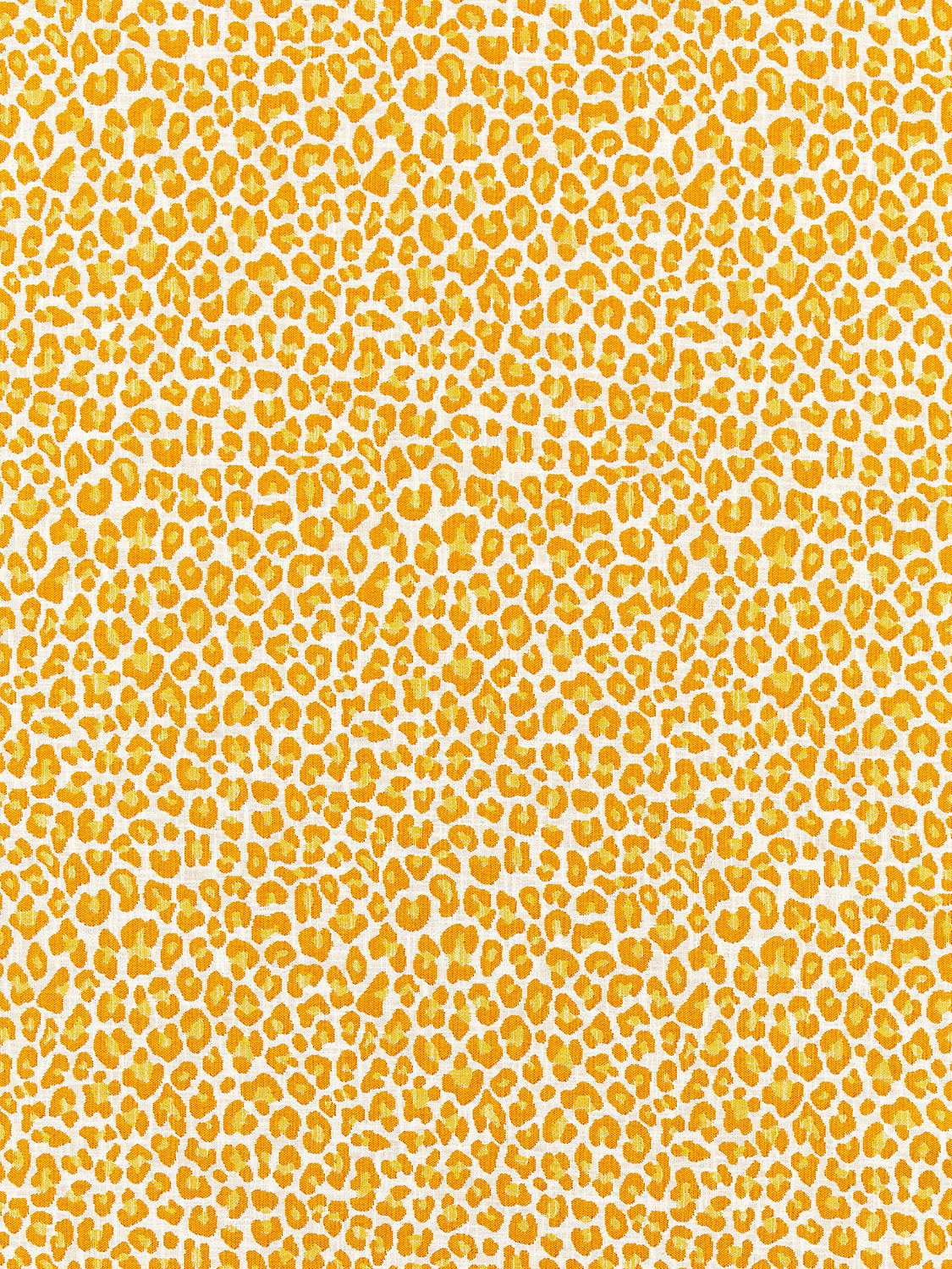 Backyard Bengal - Tangerine - Scalamandre Fabric