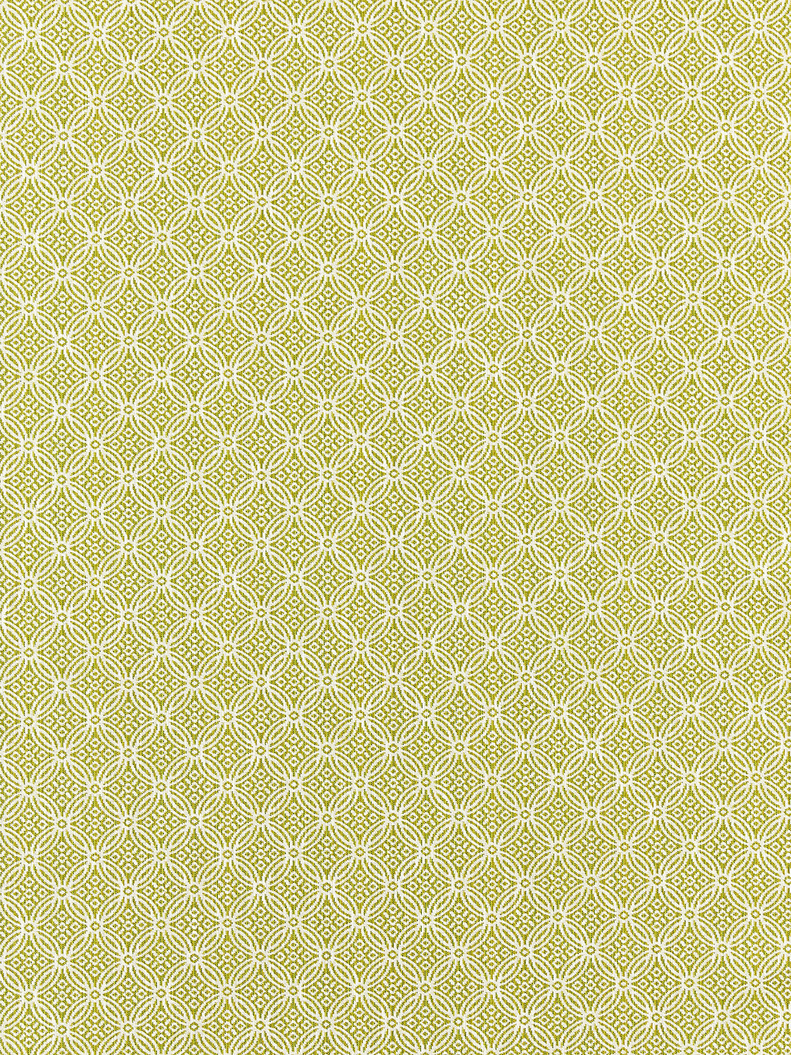Cape May - Key Lime - Scalamandre Fabric
