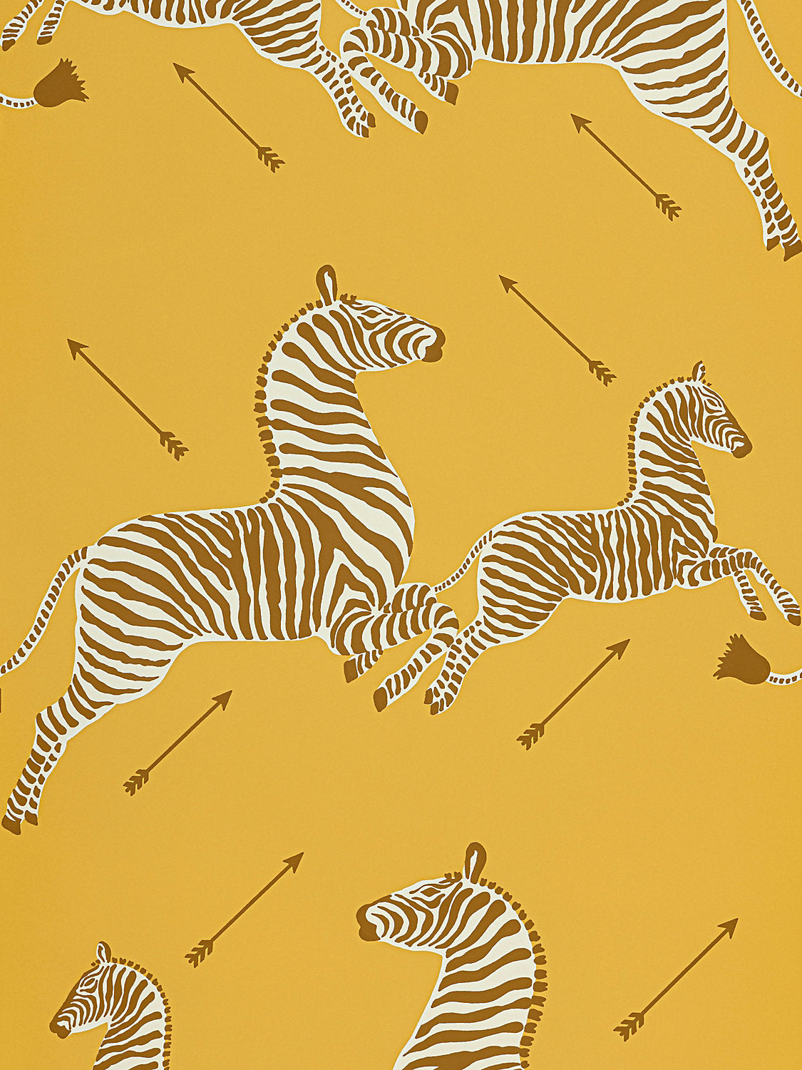 Zebras | Vinyl - Zanzibar Gold