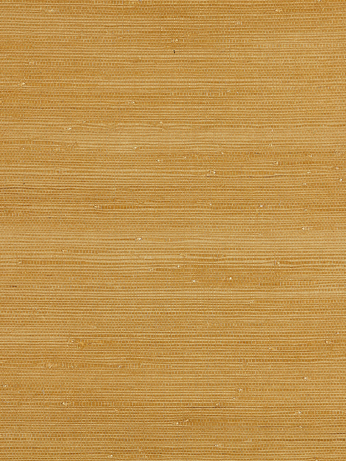 Textured Sisal - Saffron