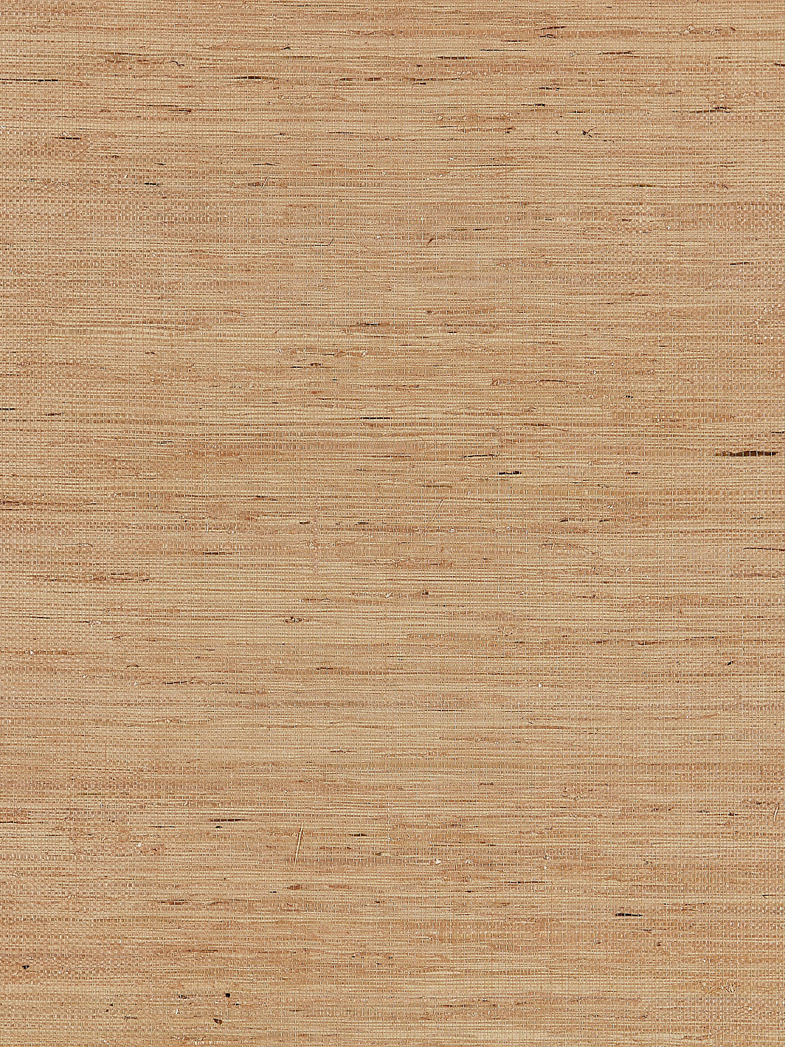 Arrowroot Weave - Camel - Scalamandre Wallpaper