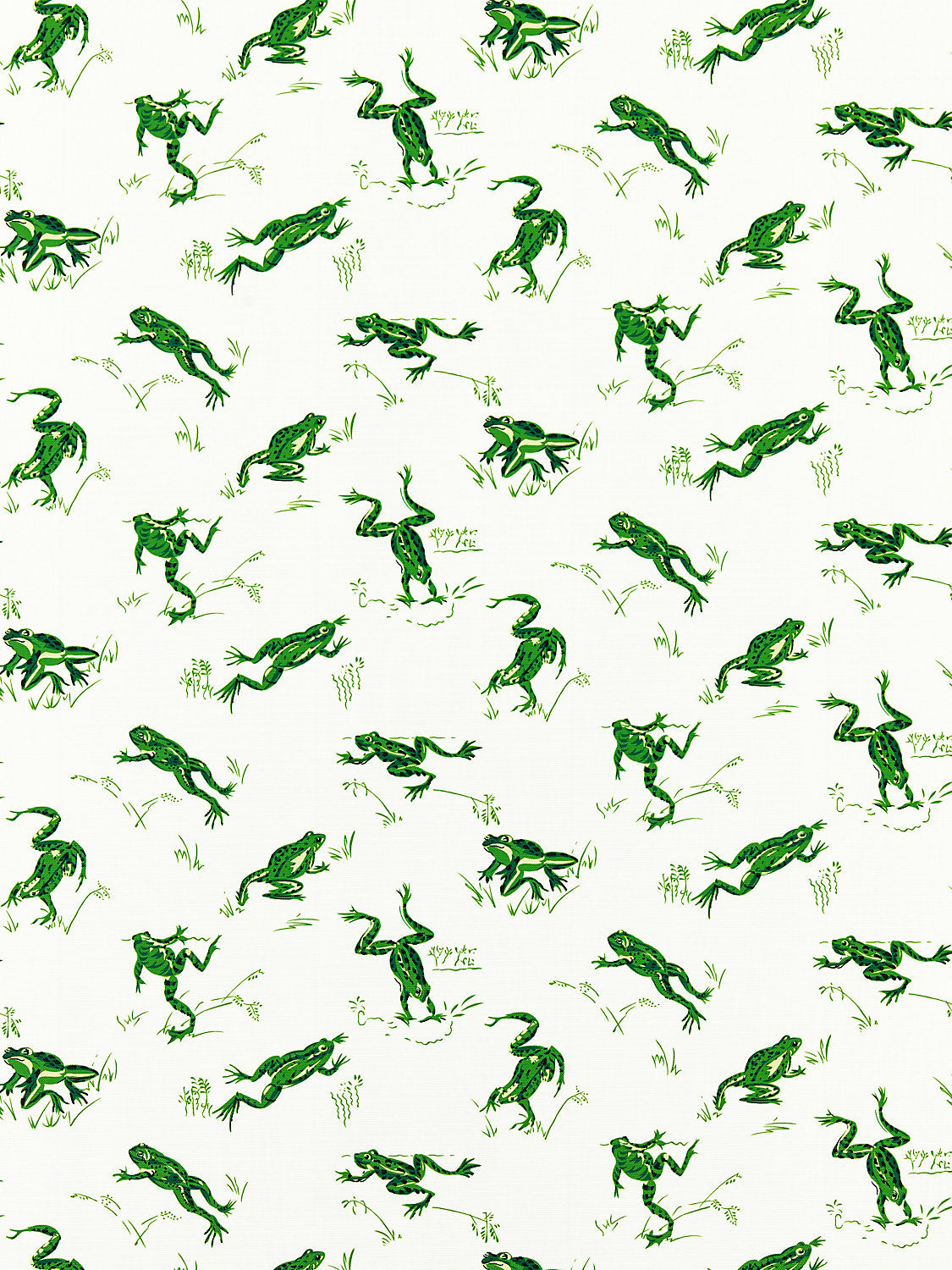 Calabasas County | Outdoor - Snap Pea - Scalamandre Fabric