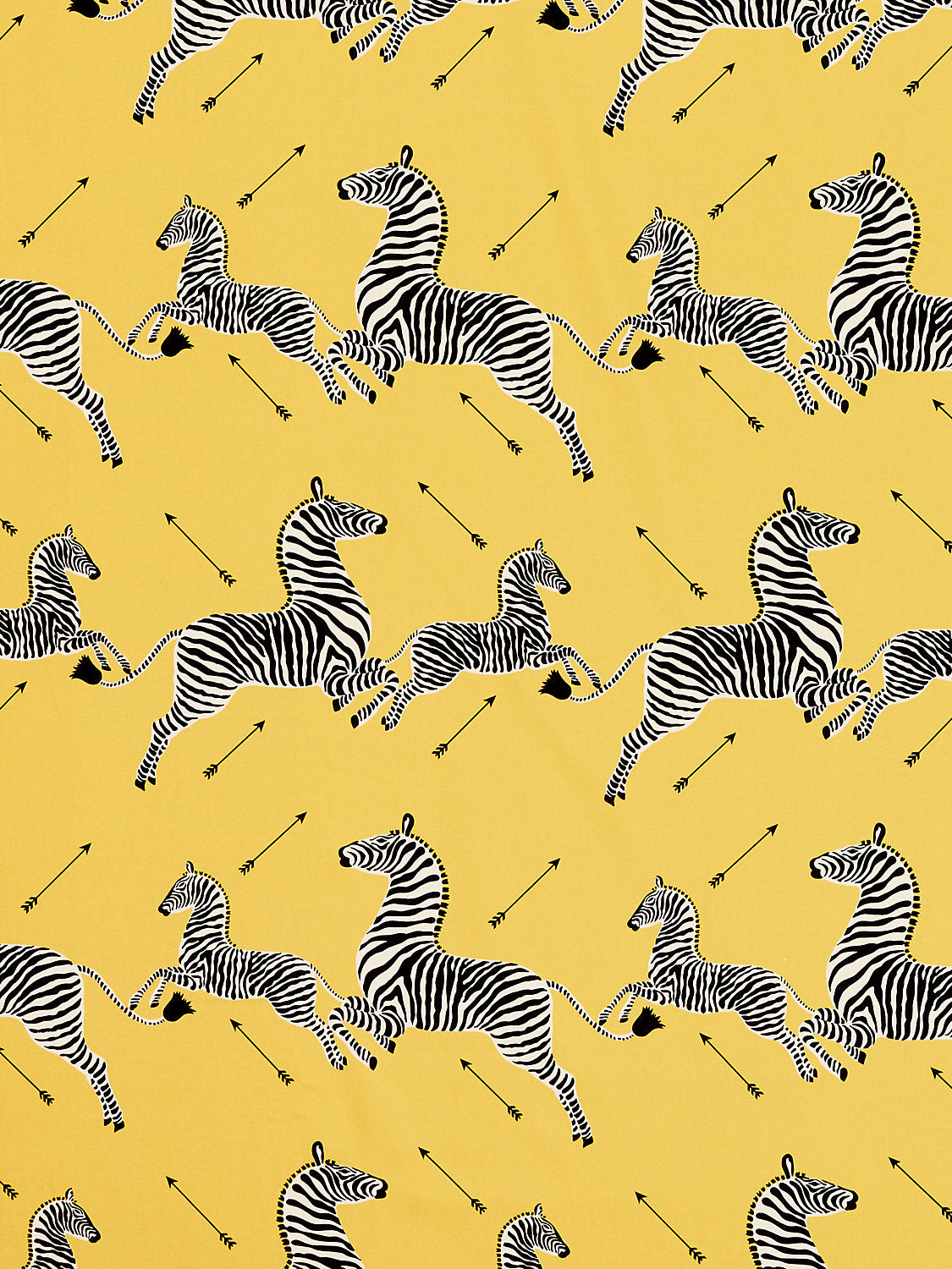 Zebras Petite - Yellow - Scalamandre Fabric
