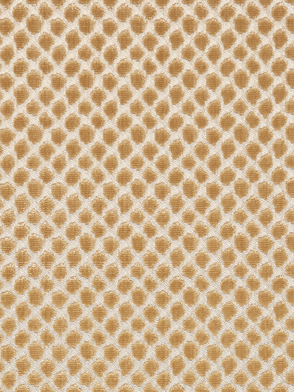 Etosha Velvet - Palomino