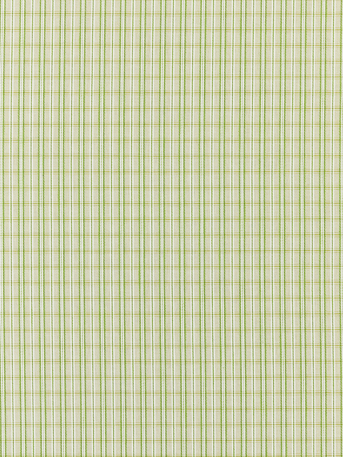 Check Please | Outdoor - Fern - Scalamandre Fabric