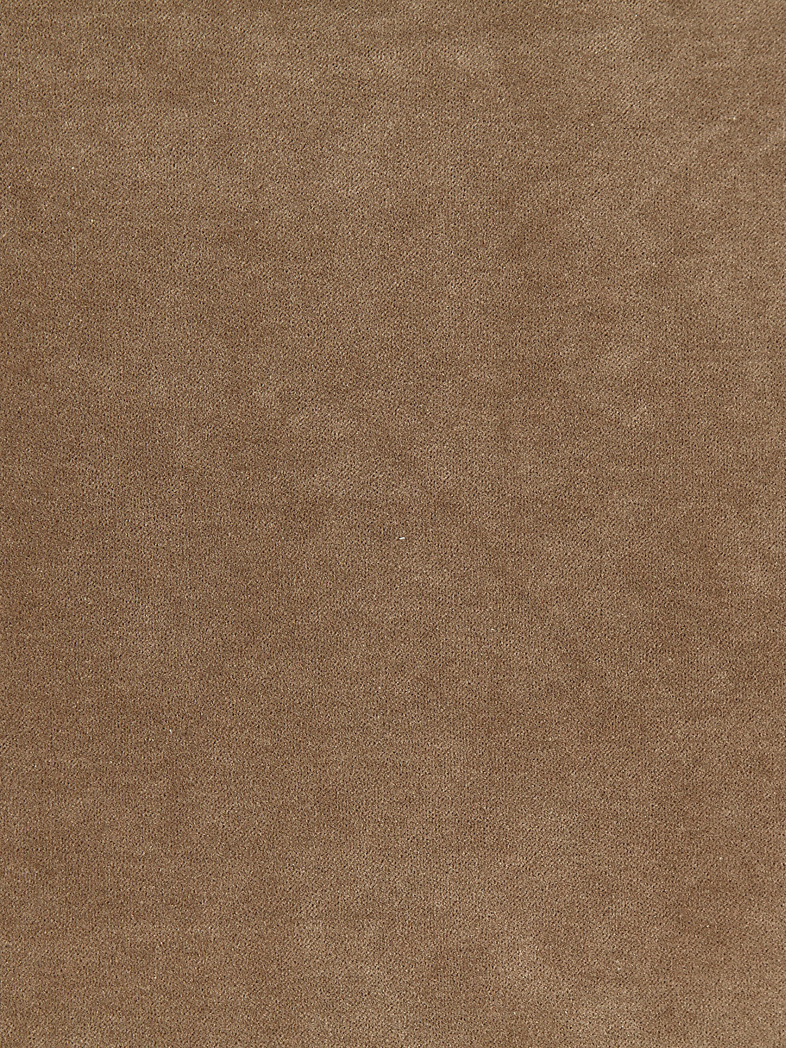 Aurora Velvet - Taupe - Scalamandre Fabric