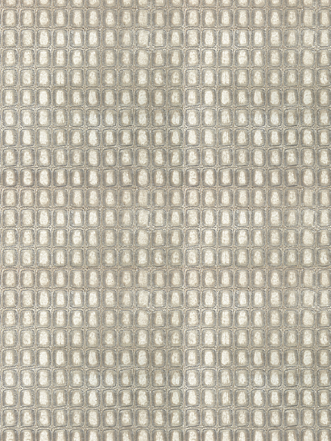 Tortoiseshell - Pewter